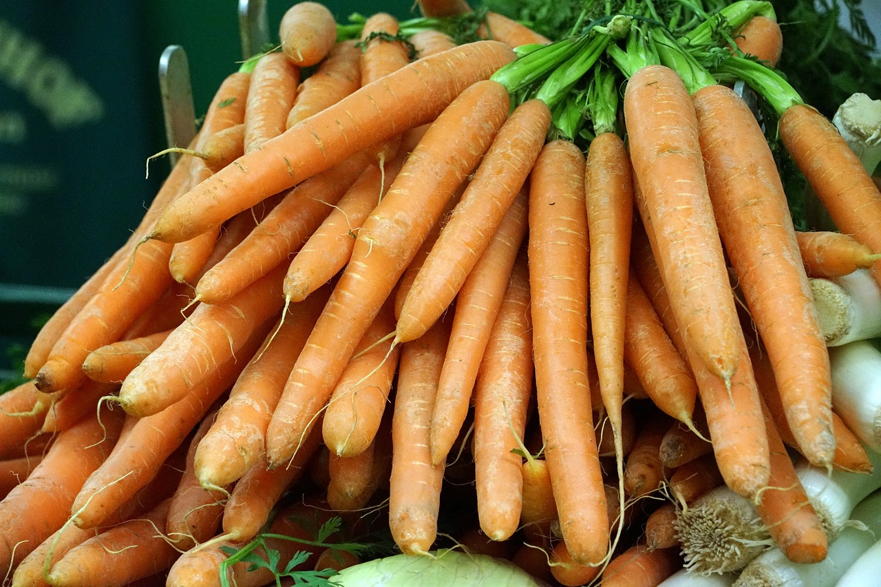 Best Tips for Growing Carrots in Your Garden